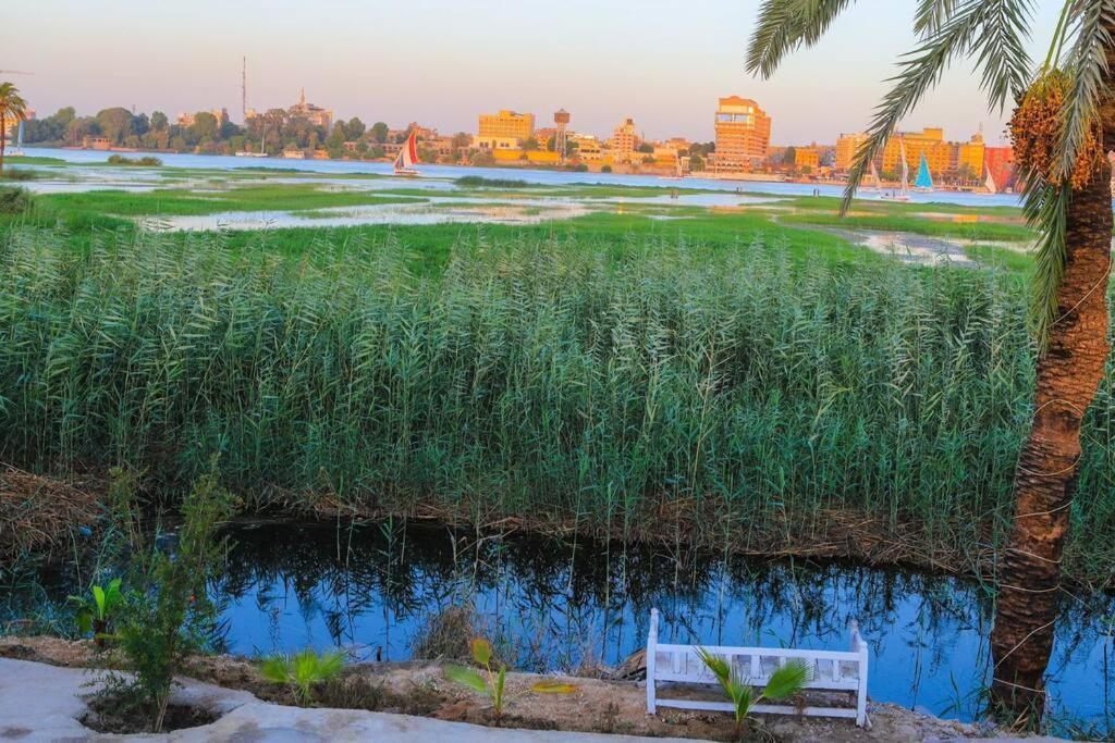 Royal Nile Villa - Nile View Apartment 1 ルクソール エクステリア 写真