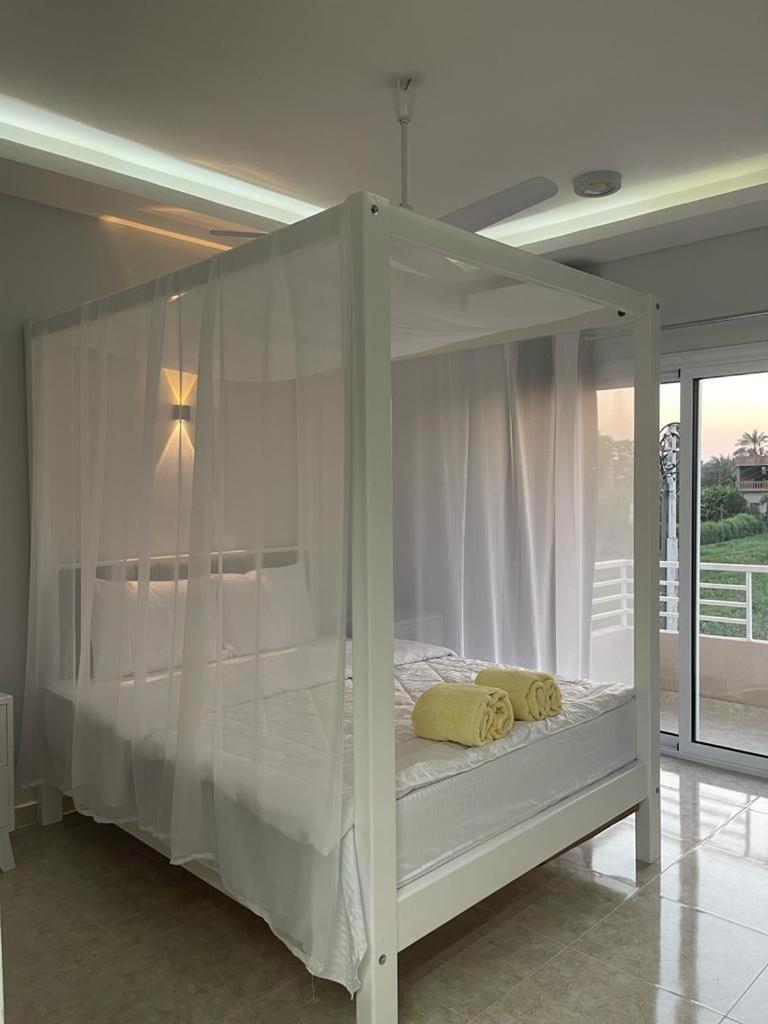 Royal Nile Villa - Nile View Apartment 1 ルクソール エクステリア 写真